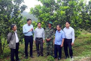 Tin miền Trung: Các địa phương thúc đẩy sản xuất nông nghiệp