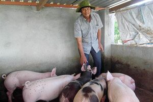 Đánh thức tiềm năng làm giàu của nhà nông ven biển