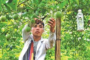 “Vẽ đường” cho thanh niên dân tộc thiểu số làm ăn