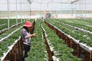 Hơn 100.000 tỷ đồng cho vay nông nghiệp sạch