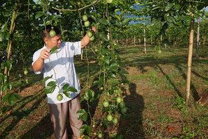 Người sở hữu 170 ha đất, làm nông nghiệp sạch vẫn chưa thỏa mãn
