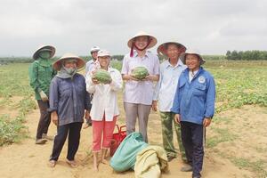 Dưa hấu hữu cơ Vĩnh Tú thơm ngon nổi tiếng