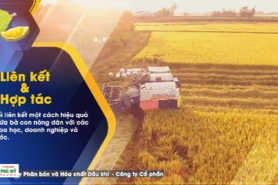 Trailer "Bác sĩ nông học"