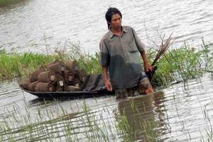 Lũ về miền Tây, nhà nông... sống lại