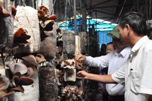 Gieo hạt trên “cánh đồng kiểu mới”