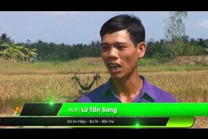 Phim hạn mặn Phú Mỹ