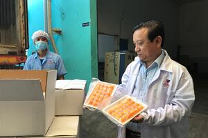 Việt Nam lần đầu tiên XK trứng vịt muối sang Úc