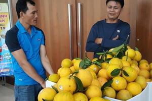 Hội nghị kết nối cung cầu hàng hóa tại Nghệ An