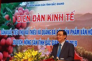 Bắc Giang: 90.000 tấn vải thiều đủ điều kiện xuất sang Trung Quốc