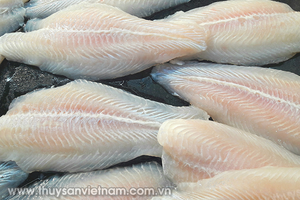 Cơ hội cá tra trên đất nước tỷ dân
