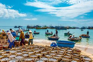 Tháo gỡ khó khăn trong hậu cần nghề cá