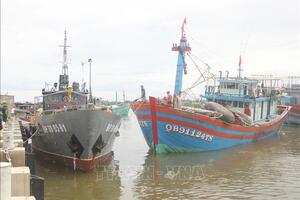 Tàu cá không đăng kí, đăng kiểm vẫn ra khơi khai thác thủy sản