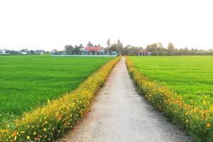 Nông thôn mới cần cách tiếp cận mới