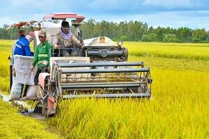 Phát triển nông nghiệp đến năm 2030: Vào Top 10 nước hàng đầu thế giới về chế biến nông sản