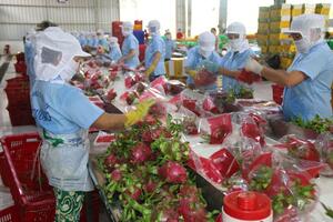 Rào cản lớn nhất của nông dân là thông tin thị trường