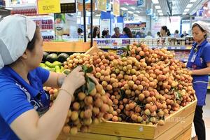 Giao thương trực tuyến doanh nghiệp Việt Nam - Nhật Bản: Thêm cơ hội cho hàng Việt xuất khẩu