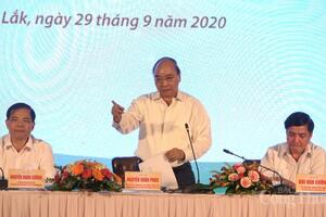 Phát triển cây mắc ca: Hình thành chuỗi liên kết, lấy doanh nghiệp làm nòng cốt