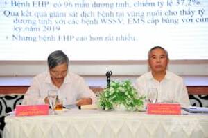 Xây dựng kế hoạch quốc gia phòng chống dịch bệnh thủy sản