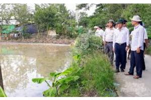 Bạc Liêu: Hơn 18.000 ha lúa bị thiệt hại do ảnh hưởng của bão