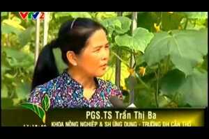 Nông Nghiệp Công Nghệ cao - Trồng Rau Trong Nhà Lưới