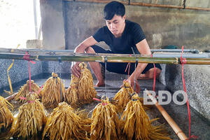 Anh Danh nuôi lươn không bùn