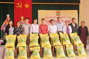 2 tấn thóc giống hỗ trợ nông dân Quảng Trị khôi phục sản xuất