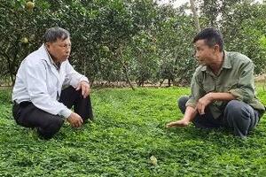 Một mô hình VAC vừa cho thu tiền tỷ, vừa bảo vệ môi trường ở Tuyên Quang