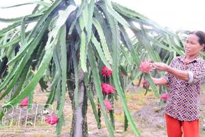 Quan tâm, hỗ trợ phụ nữ nghèo