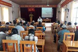 Lạc Dương: Hội thảo mô hình phòng trừ bọ xít muỗi hại cà phê chè