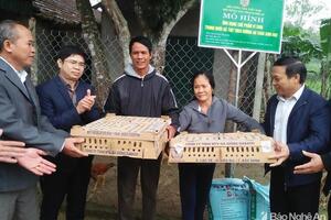 Hội Nông dân trao hơn 4.000 con gà giống cho Thanh Chương