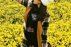 Nhộn nhịp mùa thu hoạch hoa cúc chi Nghĩa Trai