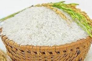 Giá lúa gạo hôm nay 19/7: Giá gạo giảm mạnh, giá lúa đi ngang