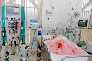 Cứu sống cháu bé bị ong đốt hơn 50 vết