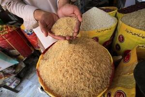 Gạo Ấn Độ lên cao nhất trong gần 2 tháng