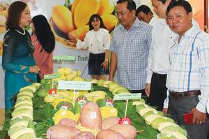 Xuất khẩu rau, quả sang Hoa Kỳ: Kiên trì tiếp cận thị trường