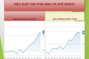 Niên vụ cà phê mới 2021-2022: Đầy hứa hẹn