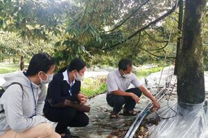 Ứng dụng công nghệ tiên tiến tạo ra nông sản sạch, an toàn