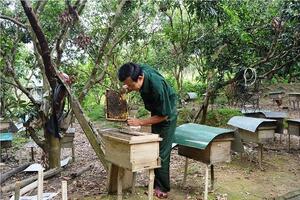 Bí quyết nghề nuôi ong ở Tấu Lìn