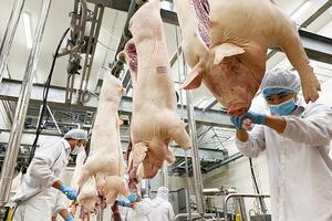 Xuất khẩu sản phẩm chăn nuôi bứt phá