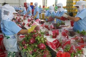 Hỗ trợ doanh nghiệp, cân đối để có thêm nguồn lực cho ngân sách