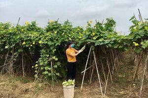 Tăng hiệu quả chuỗi liên kết nhờ sản xuất an toàn