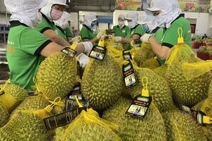 "Mách nước" để trái cây Việt vươn xa