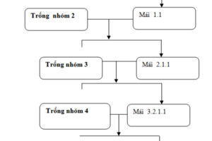 Bảo tồn và khai thác nguồn gen gà Chọi Bình Định