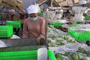 Tăng tốc xuất khẩu nông sản