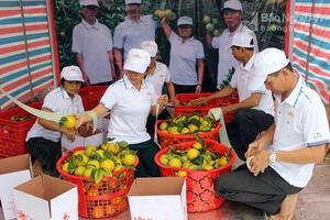 Nghệ An hỗ trợ đưa hộ sản xuất nông nghiệp lên sàn thương mại điện tử