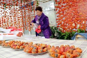 “Vàng – ngọt” mùa hồng giòn ở Đà Lạt