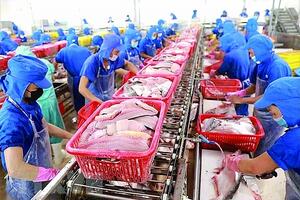 Xuất khẩu thủy sản: Kỳ vọng từ các mặt hàng chủ lực