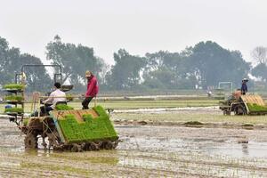 Hà Nội - Đưa khoa học kỹ thuật vào sản xuất nông nghiệp: Khuyến nông đồng hành với nông dân
