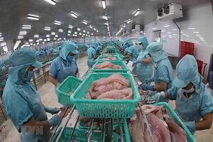 Mở rộng thị trường và nâng cao thương hiệu cho cá basa Việt Nam