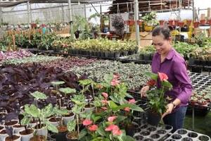 ĐBSCL: Đa dạng hóa để thích ứng